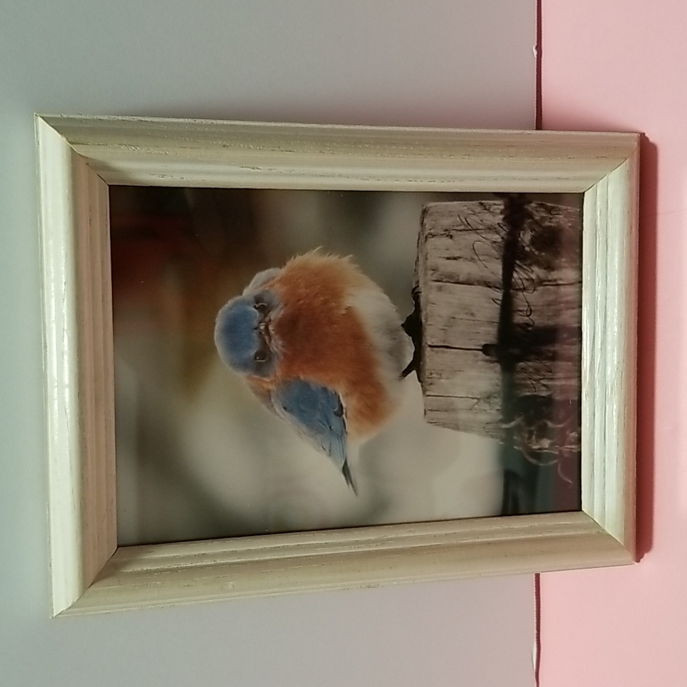 Vintage 1997 Print Framed Signed and Dated.Michael L. Smith Photographer .
